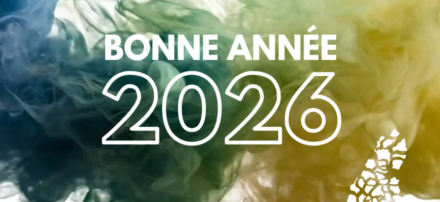 VOEUX 2026