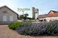 Savolles